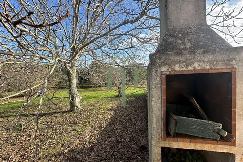 Masia a Ostuni, Brindisi, Ostuni - € 75.000 | Ref: Casolare Vert - foto 3